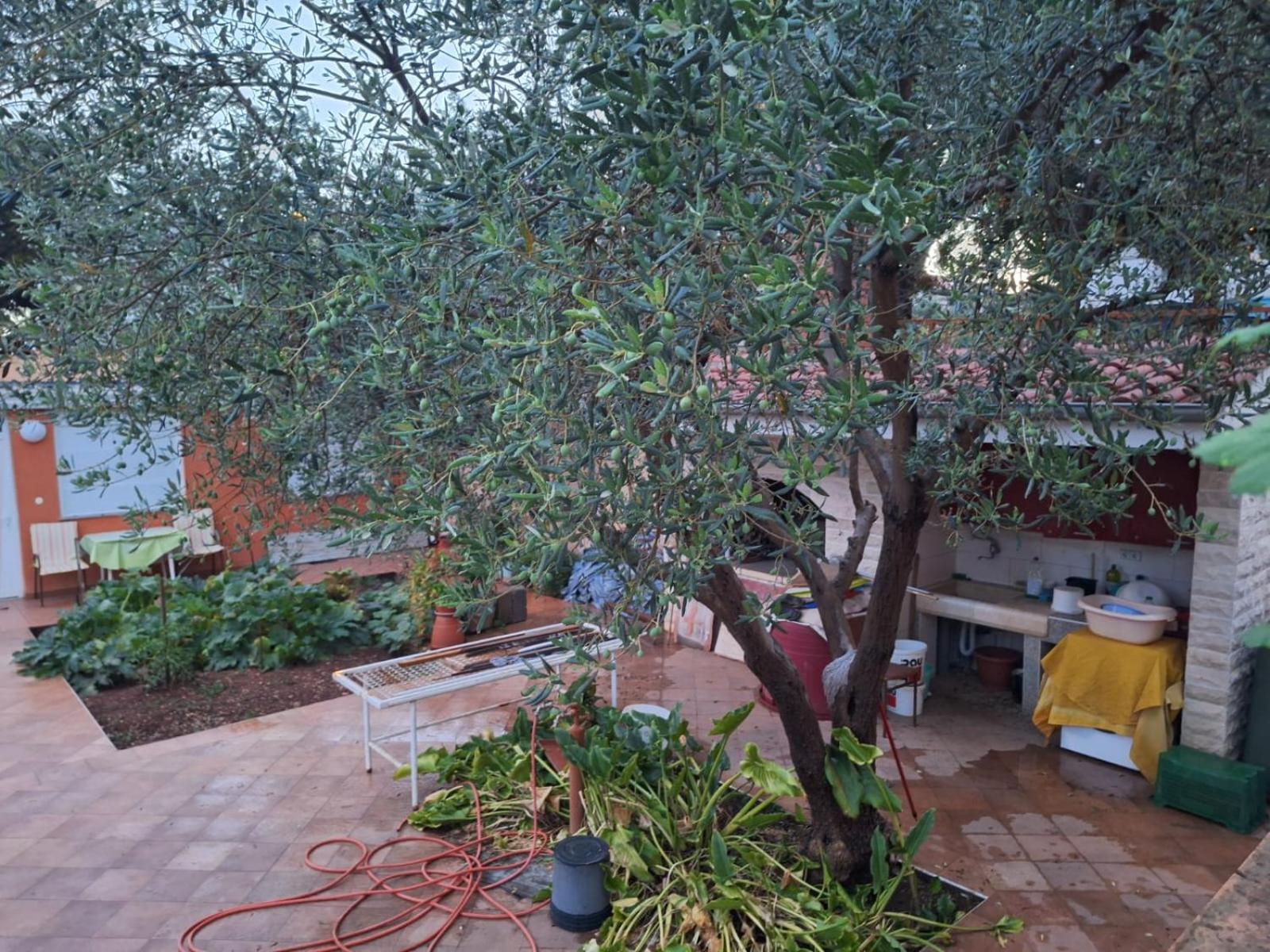 Appartement Hana