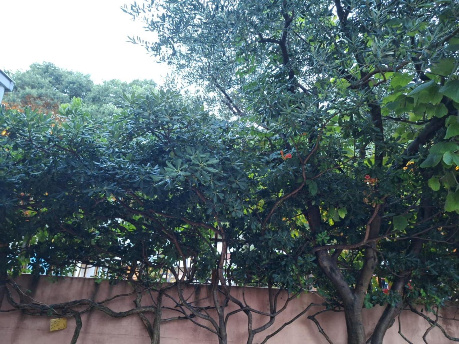 Appartement Hana