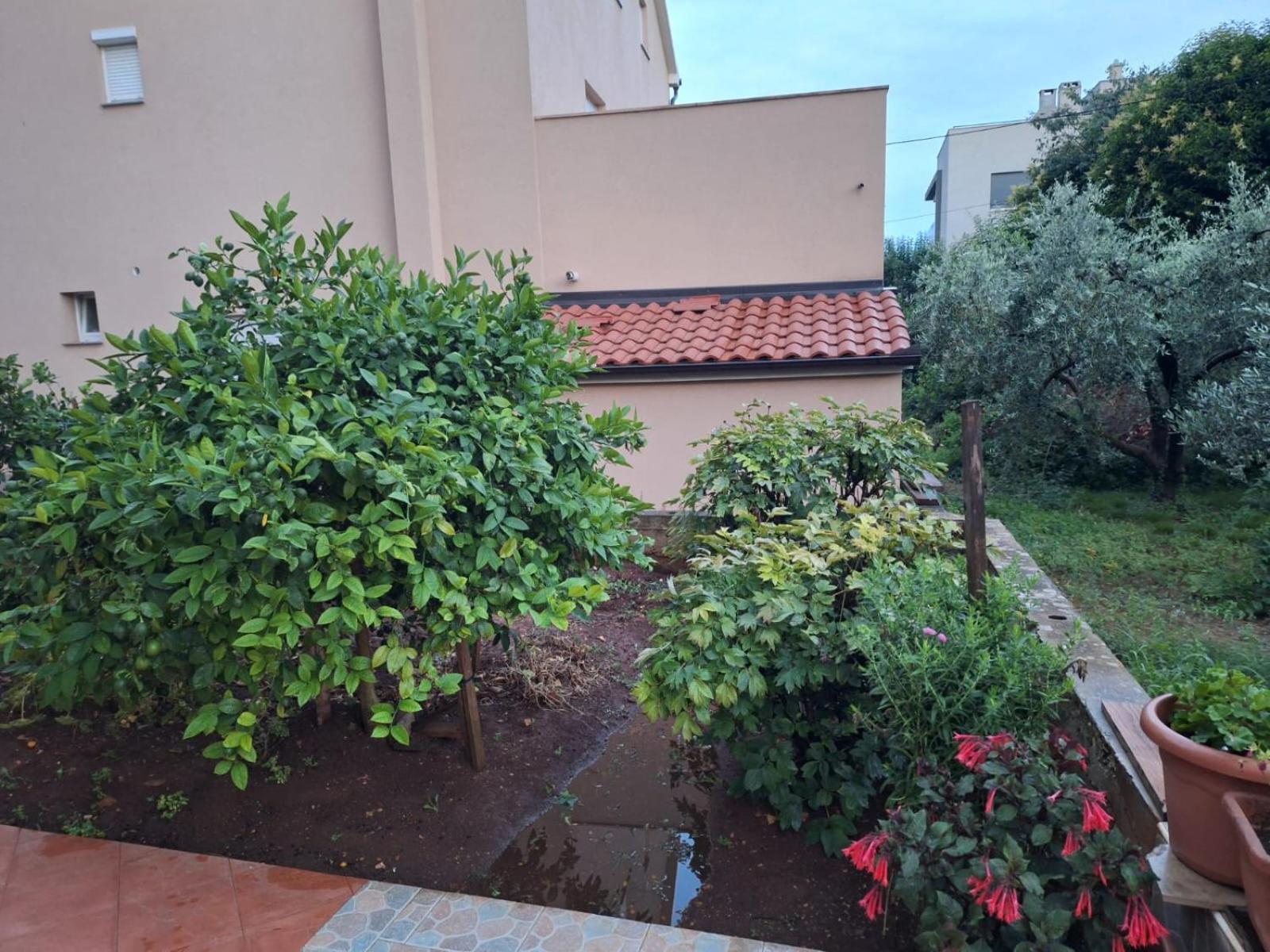 Appartement Hana *